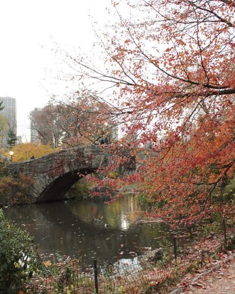 OTOÑO EN CENTRAL PARK