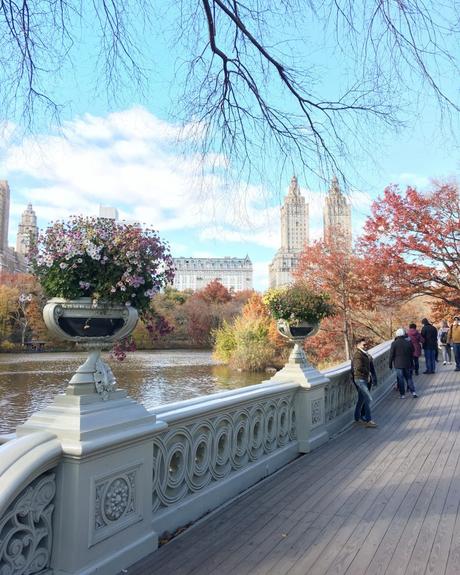 OTOÑO EN CENTRAL PARK