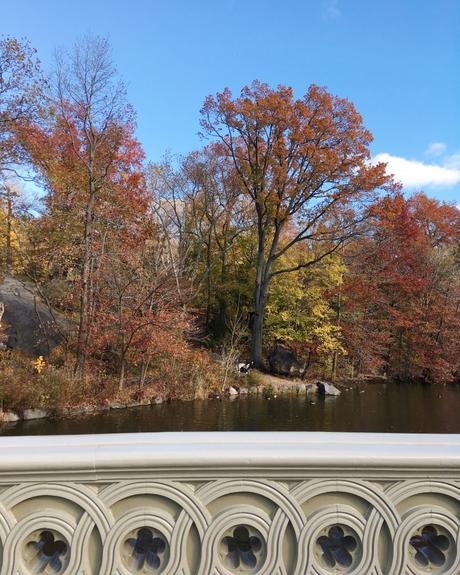 OTOÑO EN CENTRAL PARK