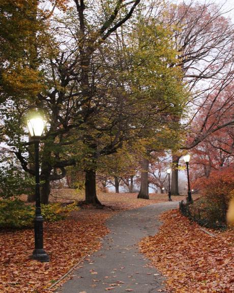 OTOÑO EN CENTRAL PARK OTOÑO EN CENTRAL PARK