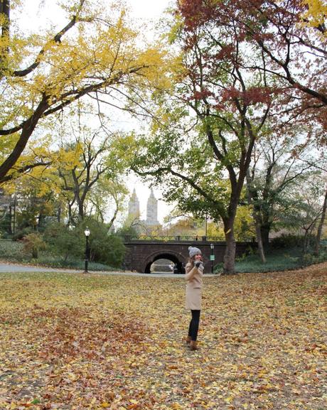 OTOÑO EN CENTRAL PARK