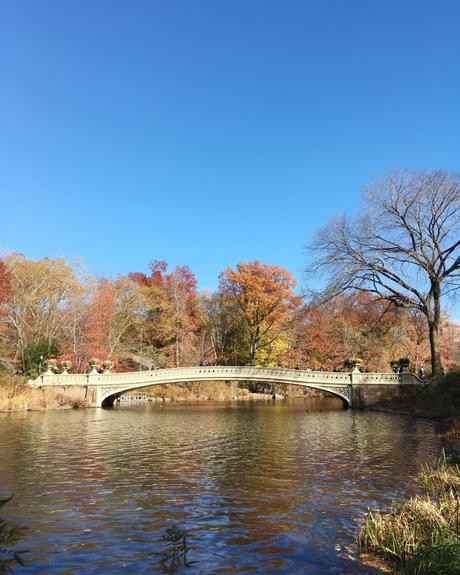 OTOÑO EN CENTRAL PARK