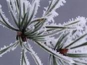 Invierno