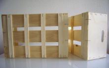 DIY-Estrella navideña