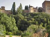 Centrifugando recuerdos (XIII)