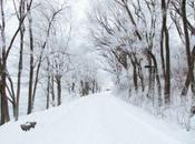 Lecturas temáticas: invierno literatura