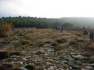 Bosque de La Parreta