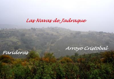 Un error de oido (que no de libro) Un error de oido (que no de libro)