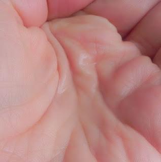 Línea Rosa Mosqueta de Bioregena: Natural, efectiva y muy bien planteada (información y reseña)