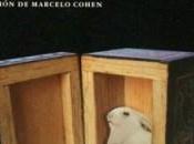 liebre ojos ámbar. Waal