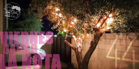 Viernes dando la nota #181: 44 vueltas alrededor del Sol