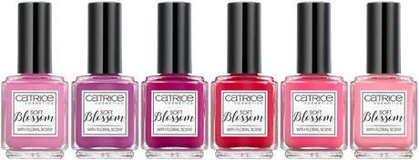 bildschirmfoto2016-12-19um05-21-45