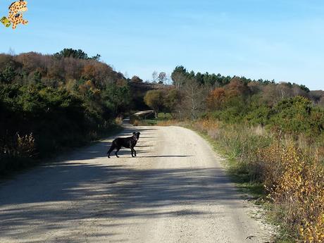 Senderismo por Coruña: Ruta dos Muíños (SM. 18)