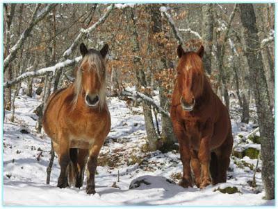 Mi vida en otras vidas