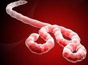 Primera vacuna contra ébola