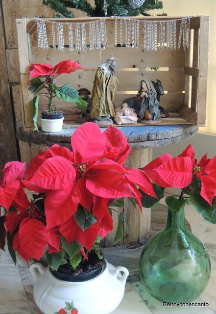 Hallazgos en el frío...