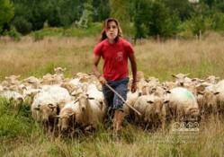 PREOCUPACIÓN ANTE UNA ANDALUCÍA MAL PASTOREADA