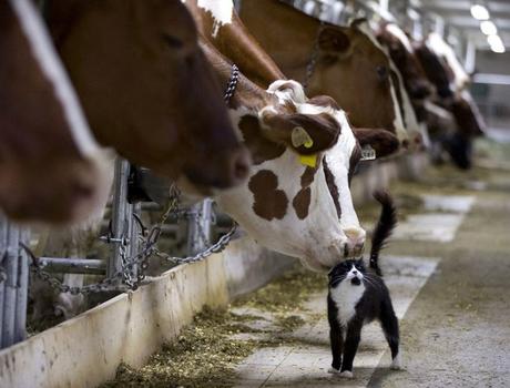 las mejores fotos de Reuters 2016 