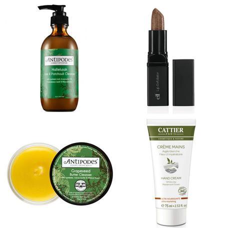 2016: Descubrimientos y favoritos / Discoveries and favs