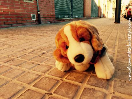 CALENDARIO DE ADVIENTO. DÍA 23. LOTERIA