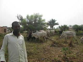 Nochebuena entre pastores