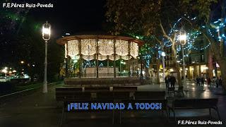 SOBREVIVIENDO A LA NOCHEBUENA, QUE NO ES POCO...