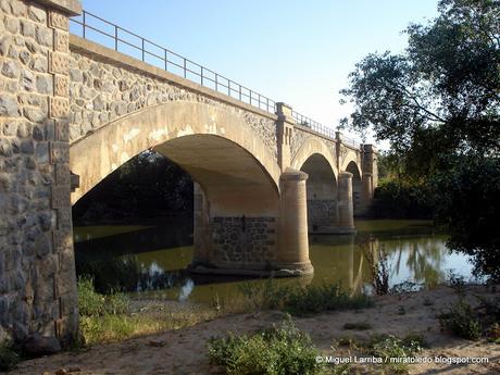 Rio Tajo, Retarda tu paso