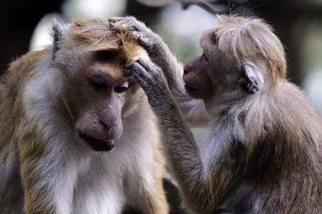 [Tribuna de prensa] Lo mejor de la semana del 19 al 25 de diciembre de 2016