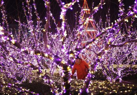 [Tribuna de prensa] Lo mejor de la semana del 19 al 25 de diciembre de 2016