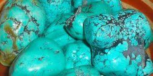 ¿Qué significado tiene soñar con una turquesa?