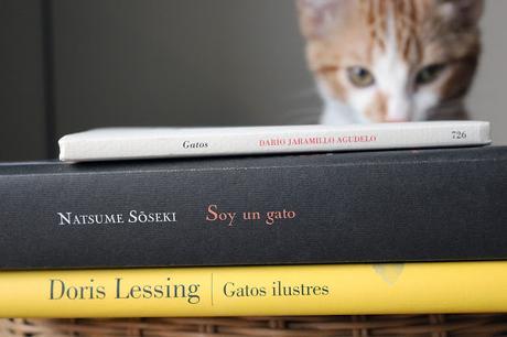 Leer y ronronear Leer y ronronear