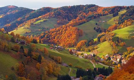 La Selva Negra Alemana. 7 Lugares Por Visitar En Esta Región