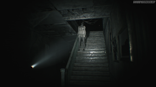 Resident evil 7 (demo)