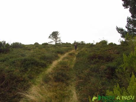 Pista forestal por la sierra del Ouroso