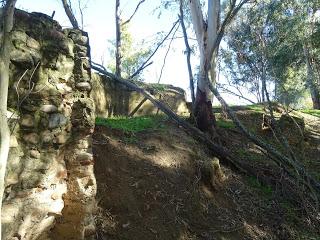 Villa romana de Pesquero, en Pueblonuevo del Guadiana: álbum fotográfico actualizado