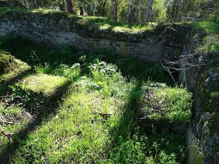 Villa romana de Pesquero, en Pueblonuevo del Guadiana: álbum fotográfico actualizado