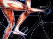 ¿Cómo entrenan ciclistas profesionales?