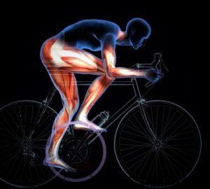 ¿Cómo entrenan los ciclistas profesionales?