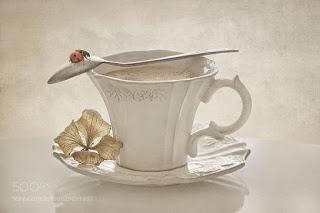 PERDONA SI TE PREGUNTO...