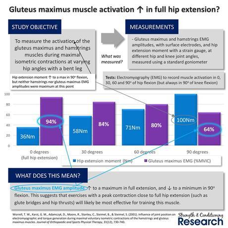 grafico estudio gluteos