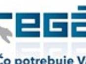 T-Regaly, empresa líder producción estantes metal