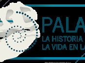 Palaeos cierra puertas