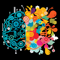 La importancia del desarrollo cognitivo en la educación La importancia del desarrollo cognitivo en la educación