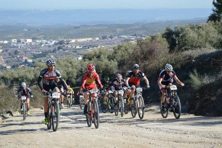Profundizando la periodización del entrenamiento