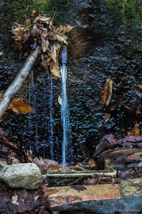 La Font Fresca de Tapis, escondida en un rincón del Alt Empordà