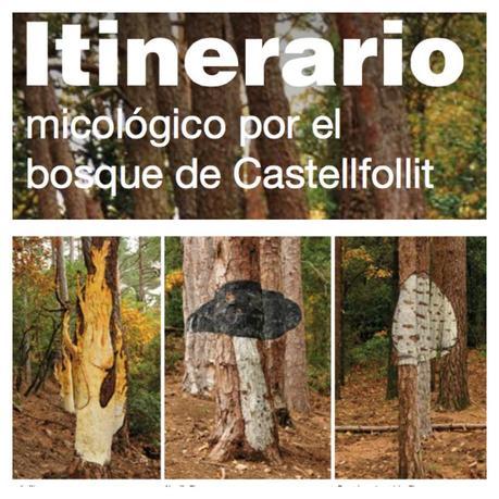 bosc-pintat-poblet-barcelona-colours