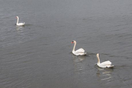 ¿Por qué nos gustan los blogs? excursión_40_20160327.jpg