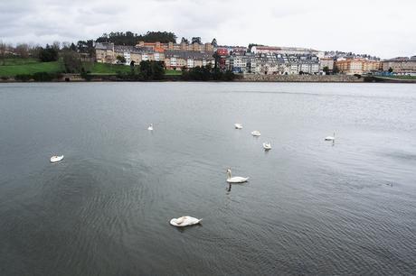 ¿Por qué nos gustan los blogs? excursión_43_20160327.jpg