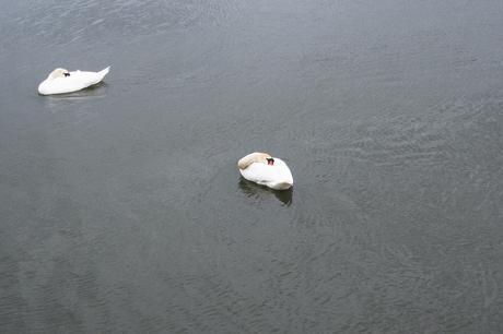 ¿Por qué nos gustan los blogs? excursión_45_20160327.jpg