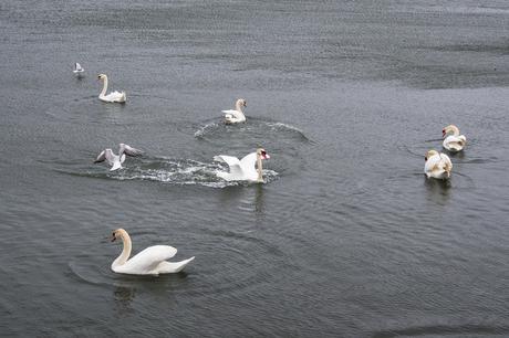 ¿Por qué nos gustan los blogs? excursión_54_20160327.jpg